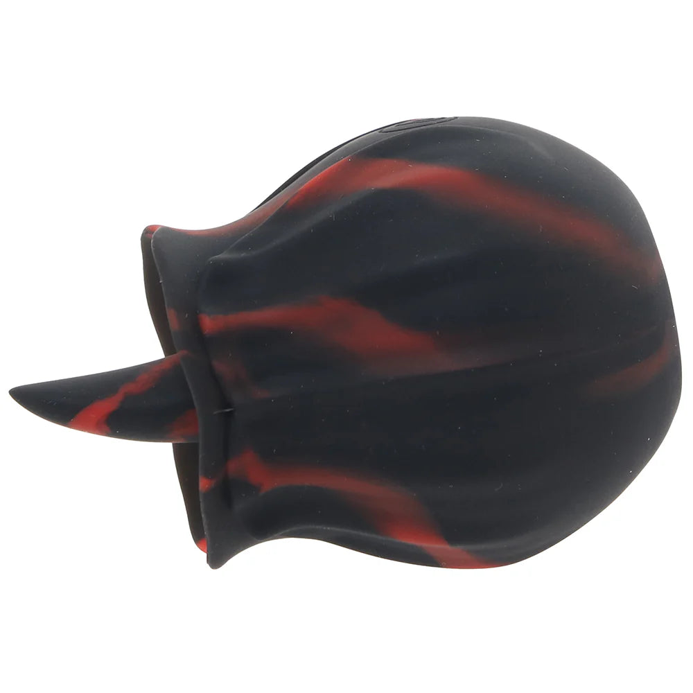 Bloomgasm Black Kiss Rimming Rose