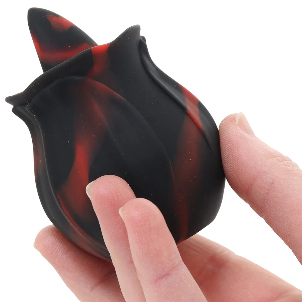 Bloomgasm Black Kiss Rimming Rose