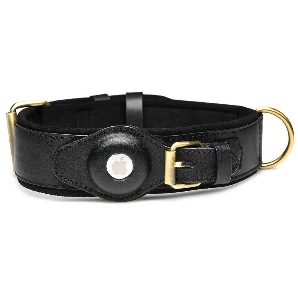 Tracer Tracking Collar