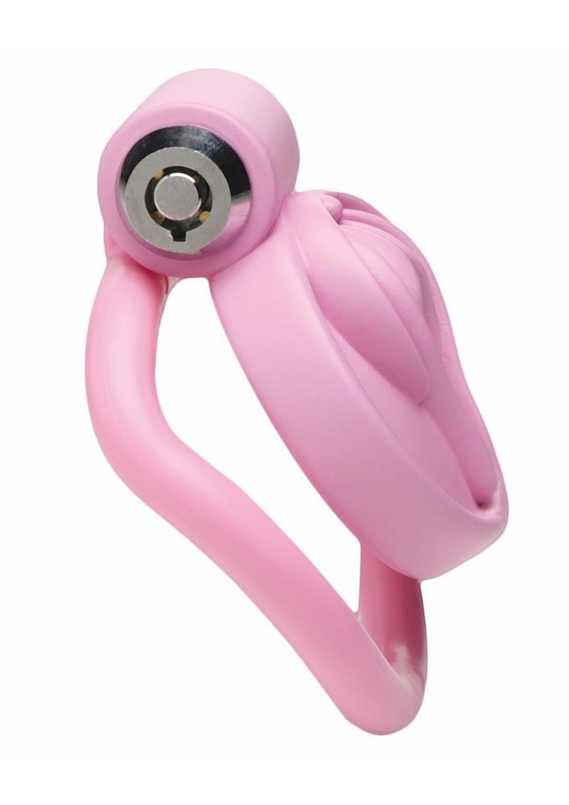 Pussification Vulva Chastity Cage
