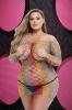 Fencenet Rainbow Mini Dress