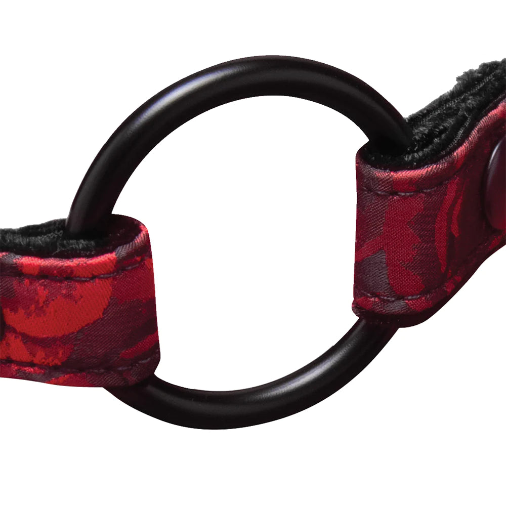 Rosegasm Ring Gag w/ Clamps