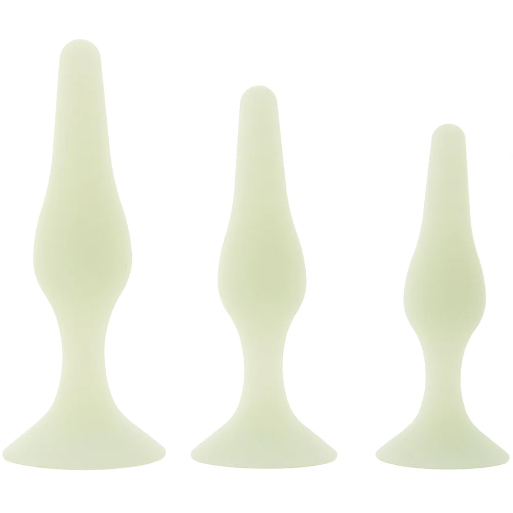 WhipSmart GITD Anal Training Kit