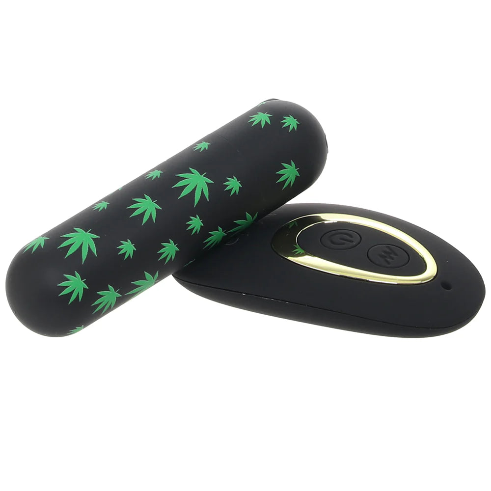 Date Night 420 Remote Panty Vibe