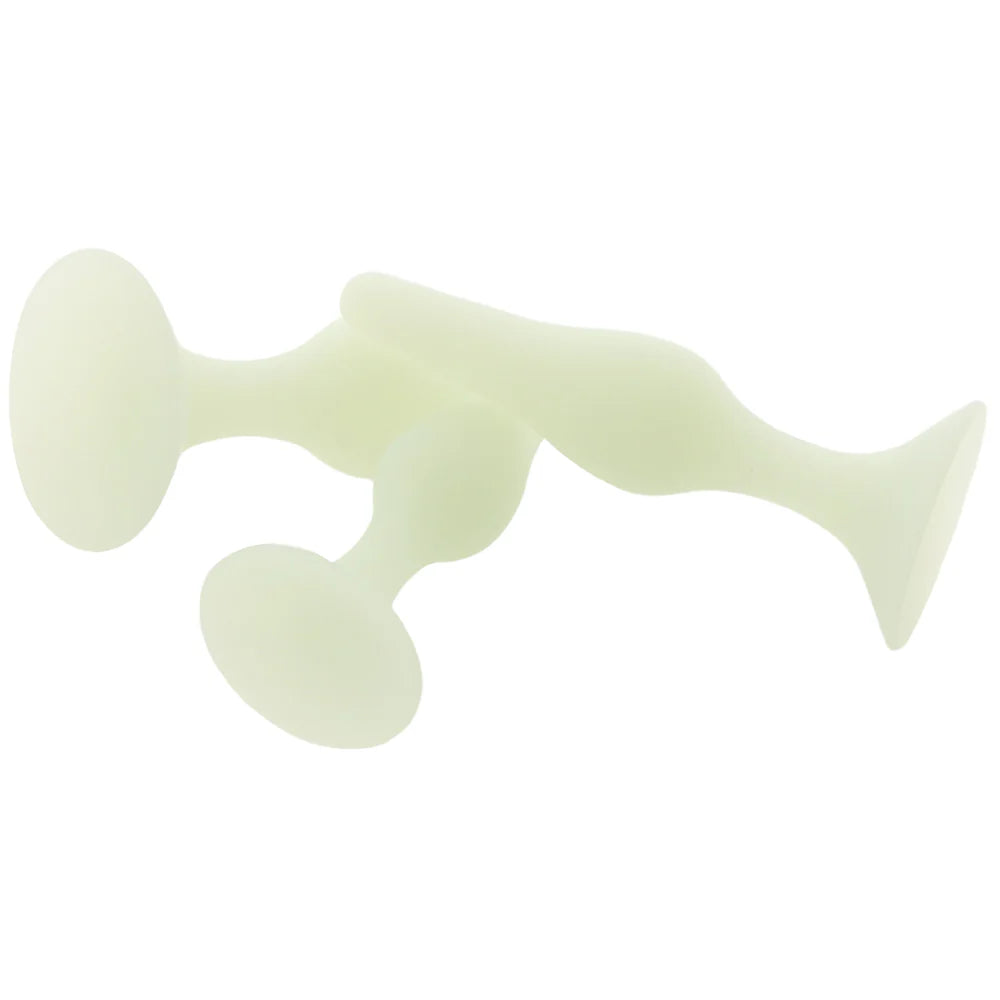 WhipSmart GITD Anal Training Kit