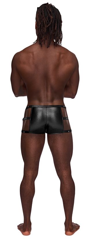 Vulcan Studded Harness