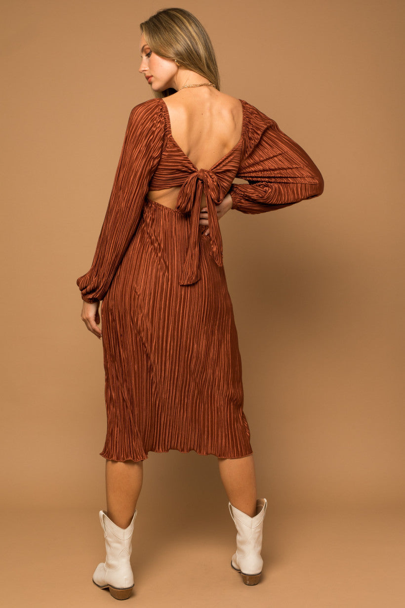 Fall is in the Air Dress