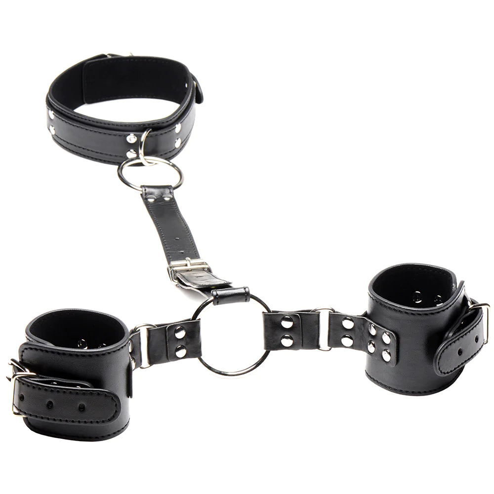Strict Neck to Wrist Leather Restraints
